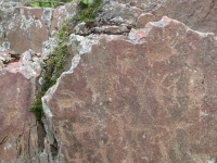 Buffalo Eddy rock art